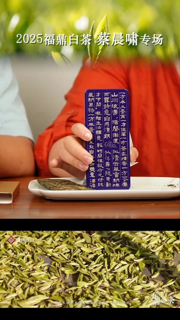 茶壶紫砂福利四片2023紫罐一方美意30克