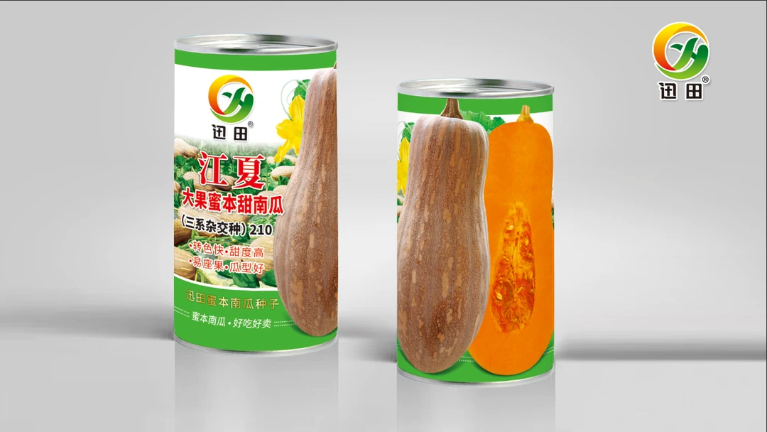 江夏大果蜜本南瓜种子超甜粉面密本甜南瓜易种奈贮四季播蔬菜种子