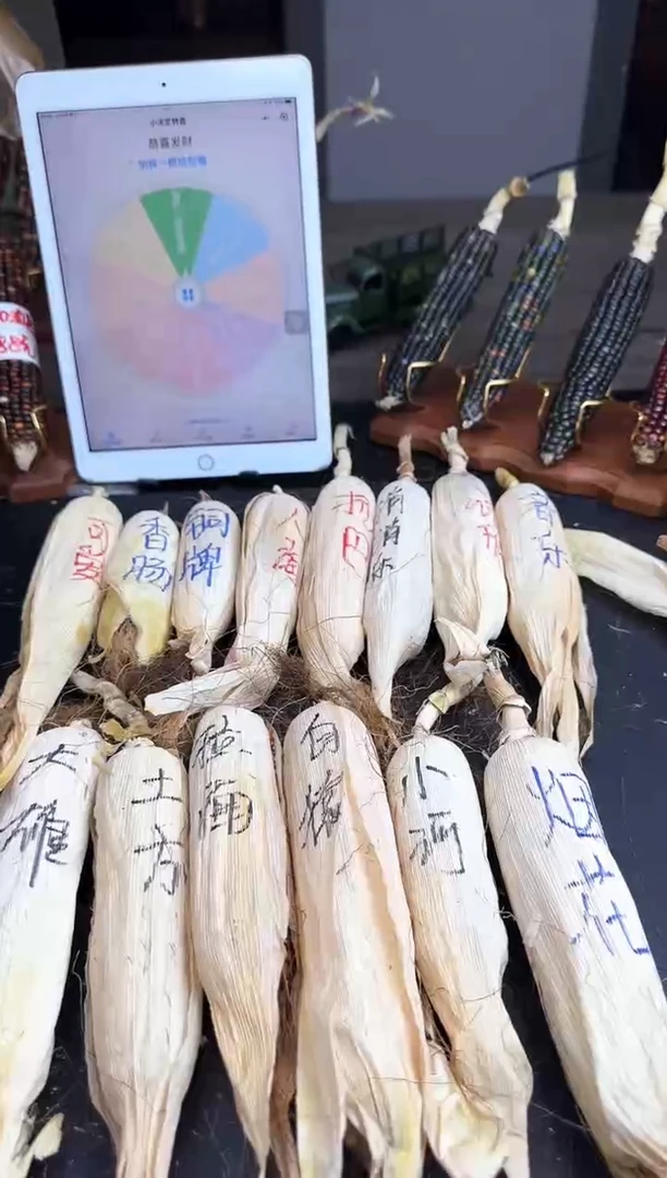 【闪购商品】和哈哈哈哈哈哈哈哈哈哈