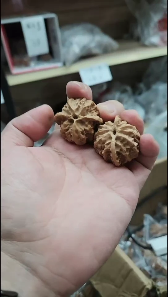 【苹果园40尺寸】仅4单！