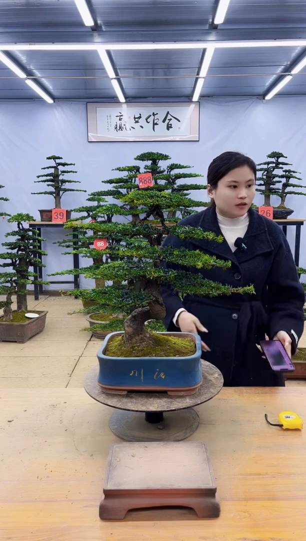 一物一拍，所见即所得