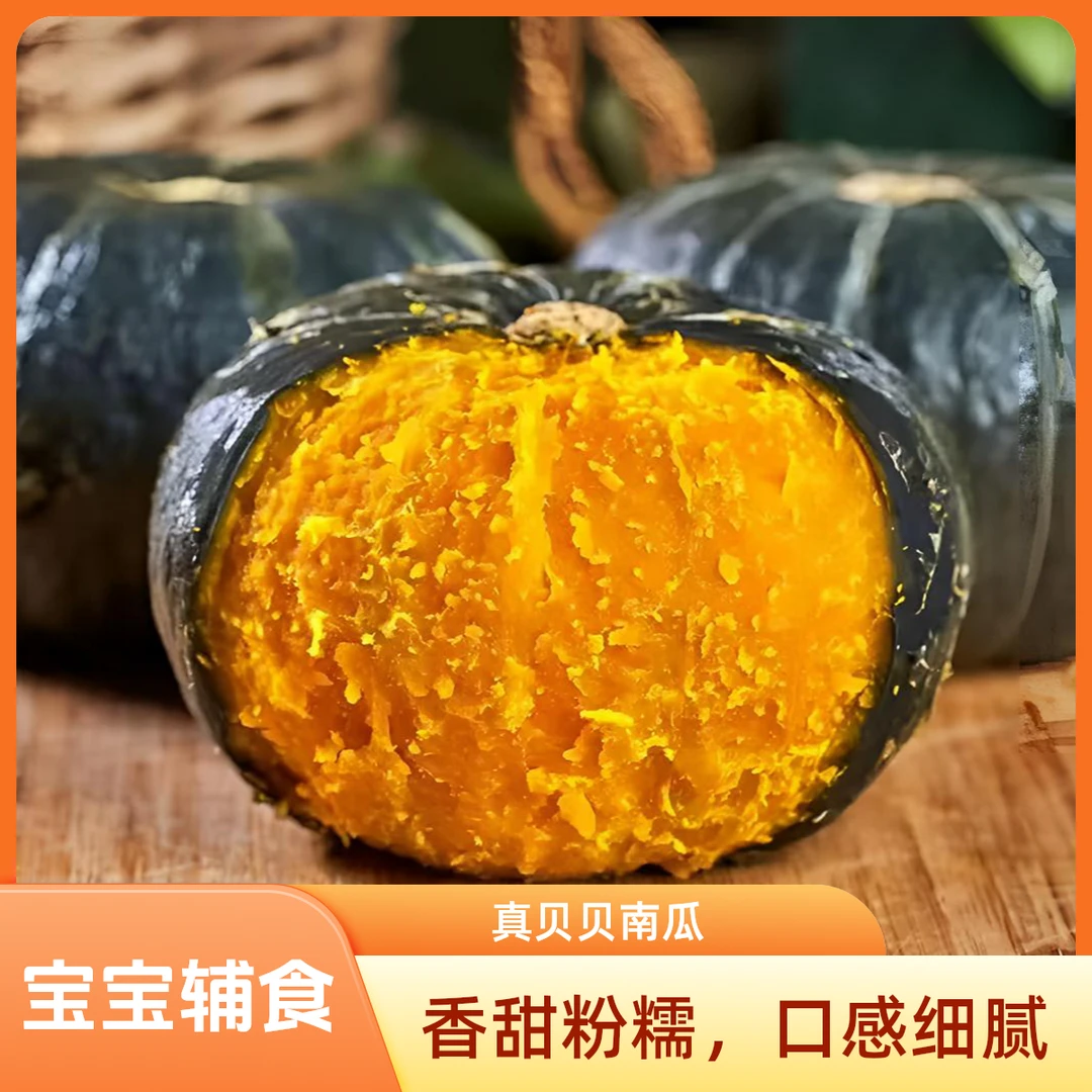 正宗老贝贝南瓜粉面干甜宝宝辅食粉糯板栗小南瓜沙土种植产地直发