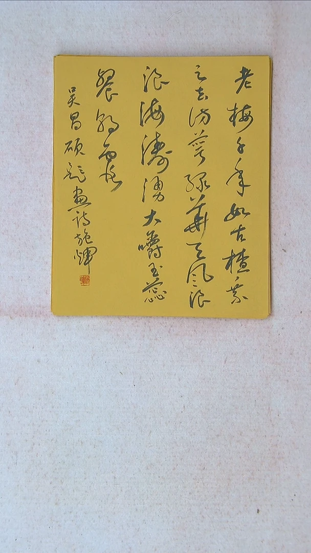 【闪购商品】书法施辉 江西新余34*27