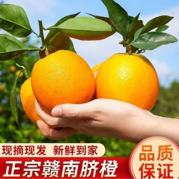 赣南脐橙 正宗江西现摘新鲜 带箱5斤 酸甜细腻 产地直发