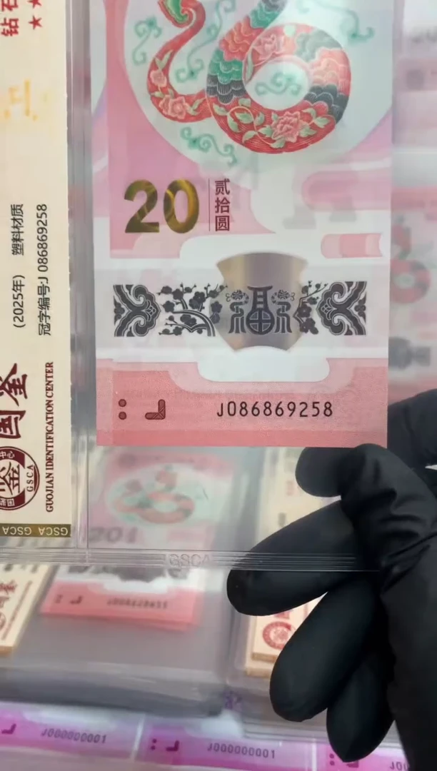 【闪购商品】塑料蛇钞 真钞【单张】9258