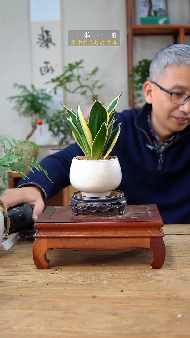 完全开放?***喜虎皮兰489