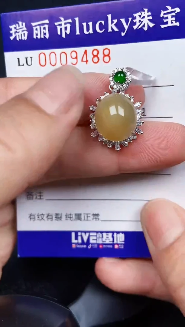 翡翠银S925镶嵌颈饰9488