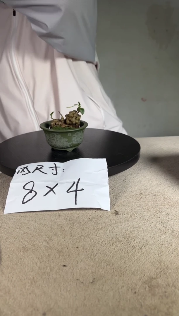 宜兴紫砂花盆小盆