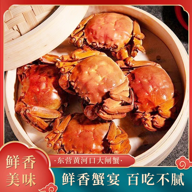 精选黄河口大闸蟹2两母2只体验装冷链直发