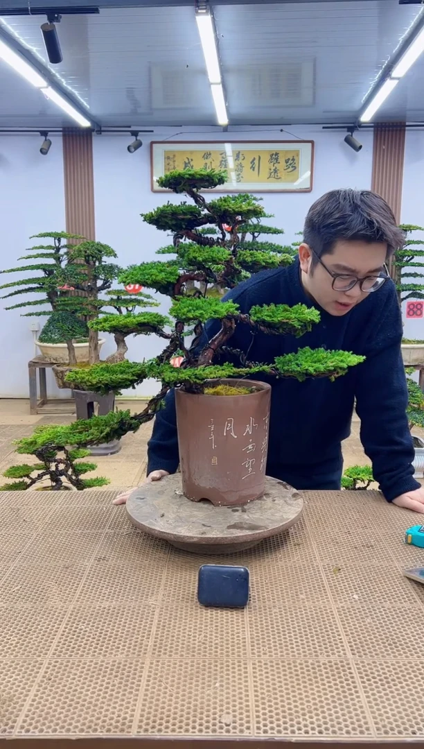 无花朵00000000000000