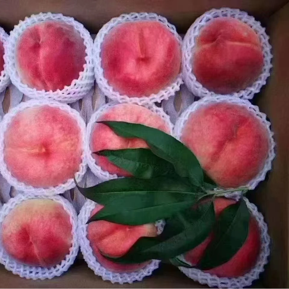 头茬平谷大桃现摘新鲜桃子软脆两吃口感佳多汁包邮