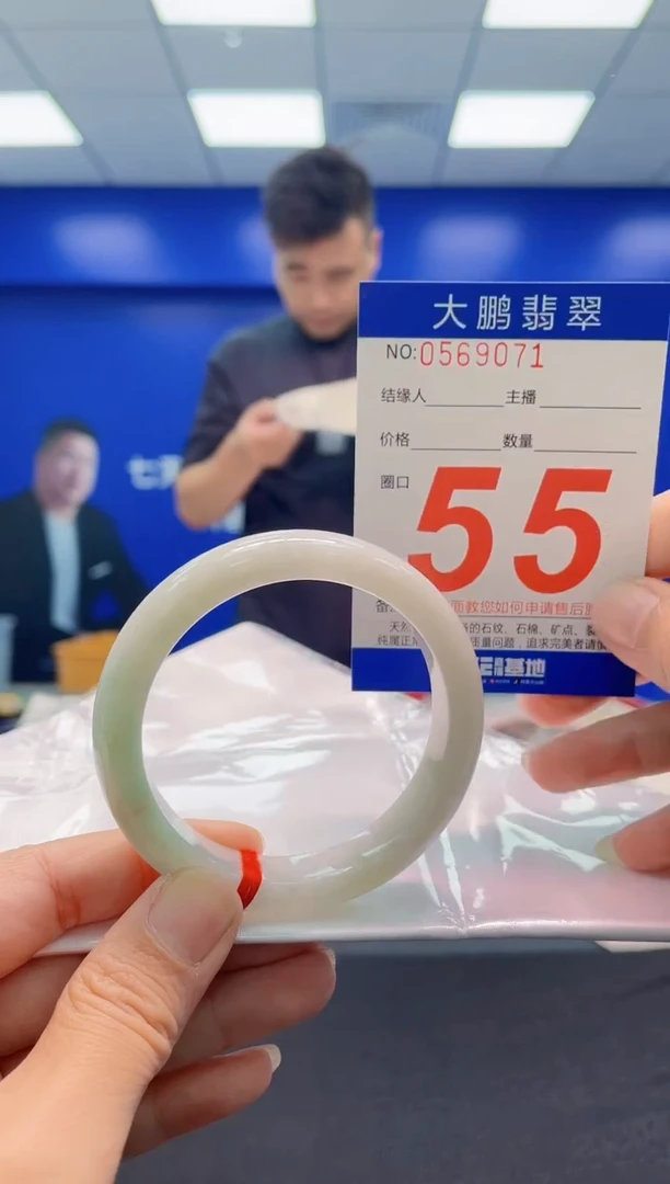 未镶嵌手镯翡翠AAAAAAAAA
