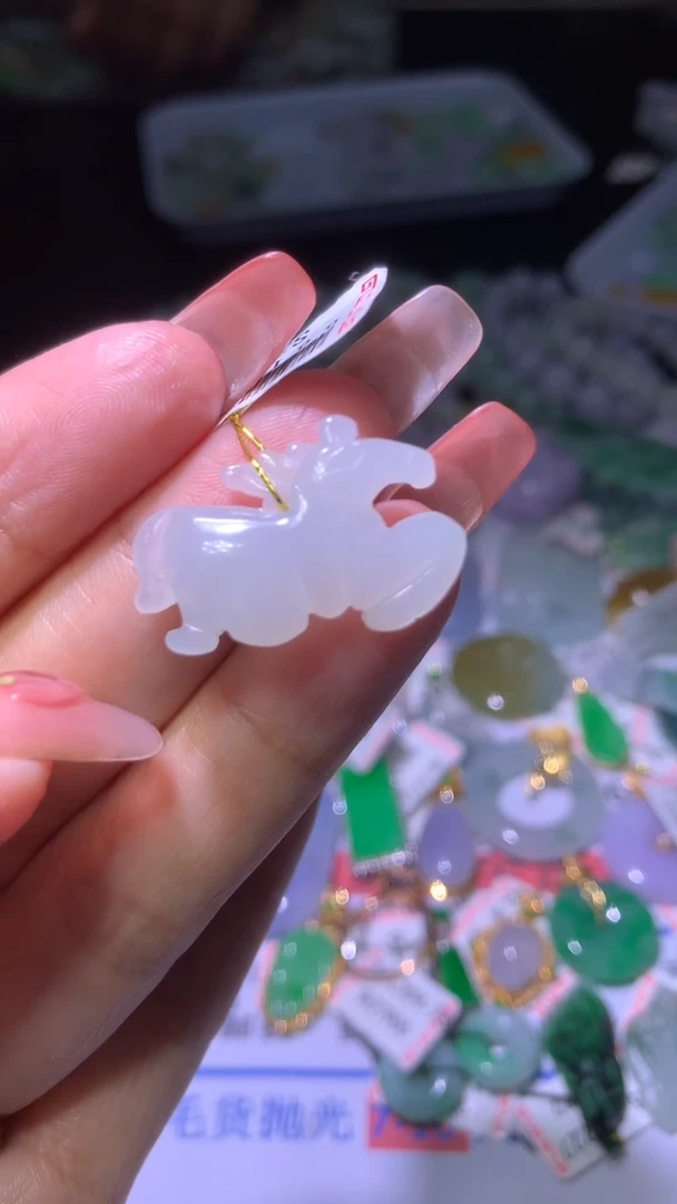 翡翠未镶嵌颈饰一*?MXX029481