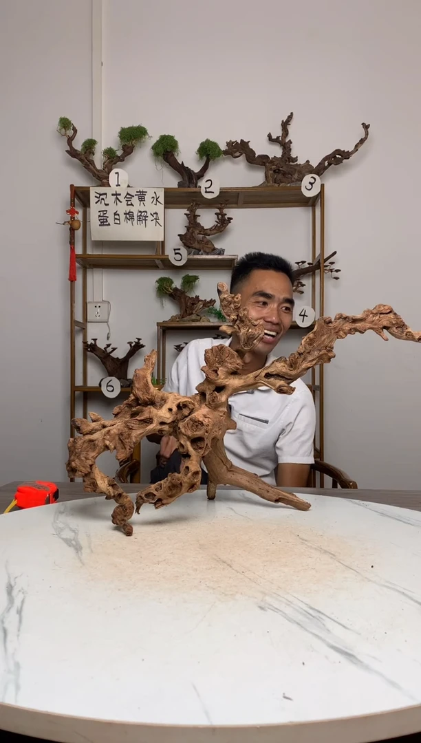 美****铺鱼缸造景沉木摆件