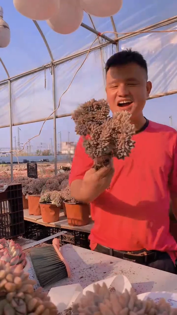 【闪购商品】缀化153