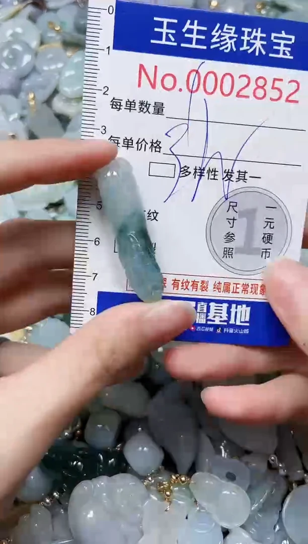 【闪购商品】翡翠颈饰未镶嵌闪购00002852