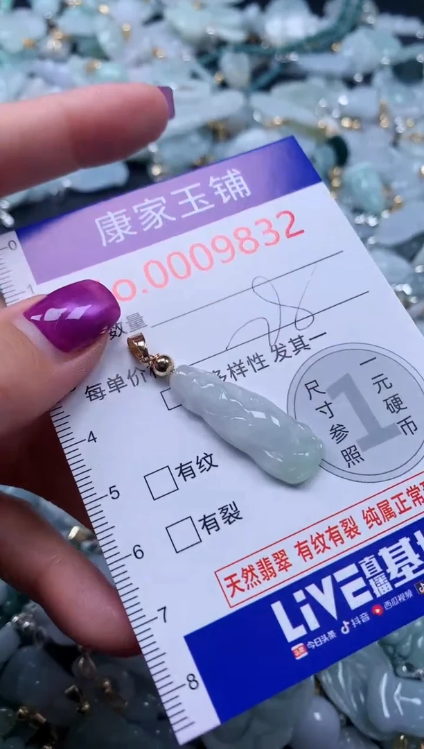 颈饰未镶嵌翡翠9832