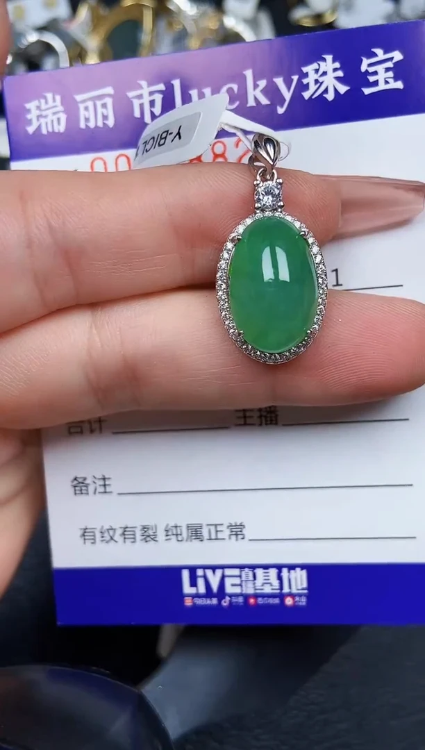 翡翠银S925镶嵌颈饰4882