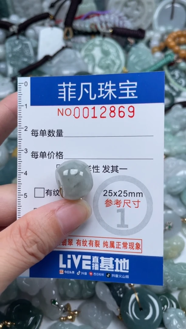 颈饰未镶嵌翡翠12869