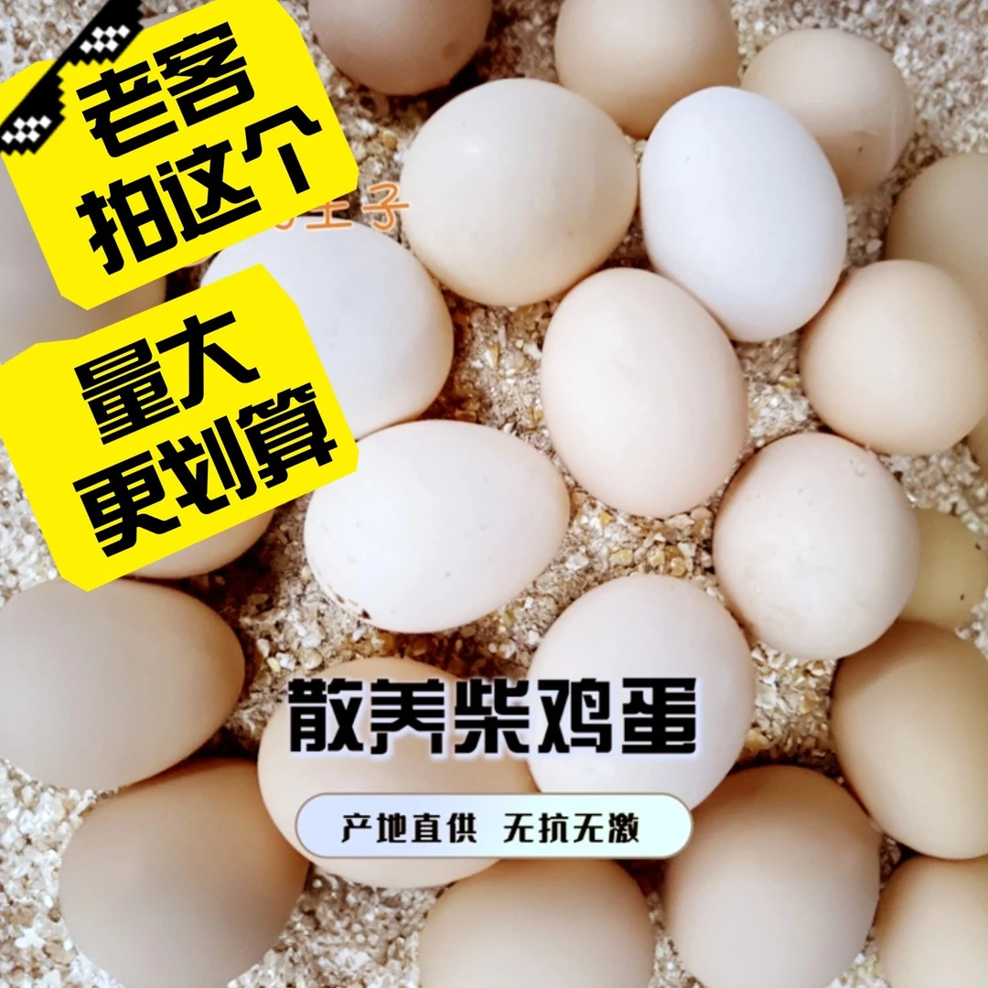 粉皮散养竹林土鸡蛋30枚、60枚现捡现发新鲜土鸡蛋柴鸡蛋