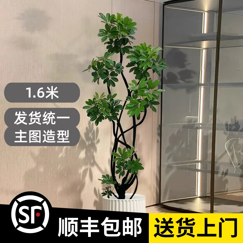 1.6米【6朵头*鸭脚木】顺丰包邮室内家居植物鹅掌财鸭掌