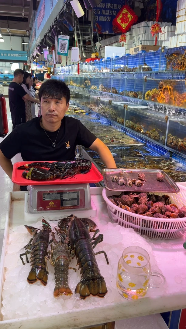 中国大陆鲜活蓝龙1只