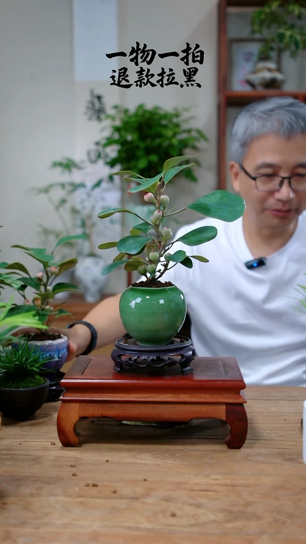 完全开放法***家菩提429