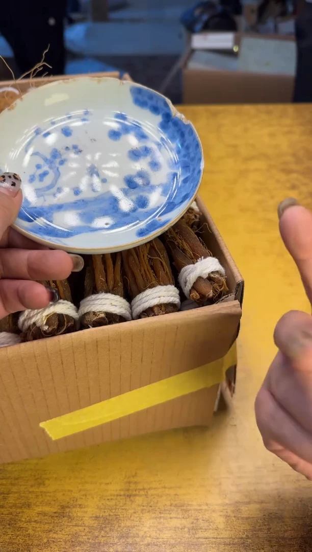 h*瓷器瓷器瑕疵破破119