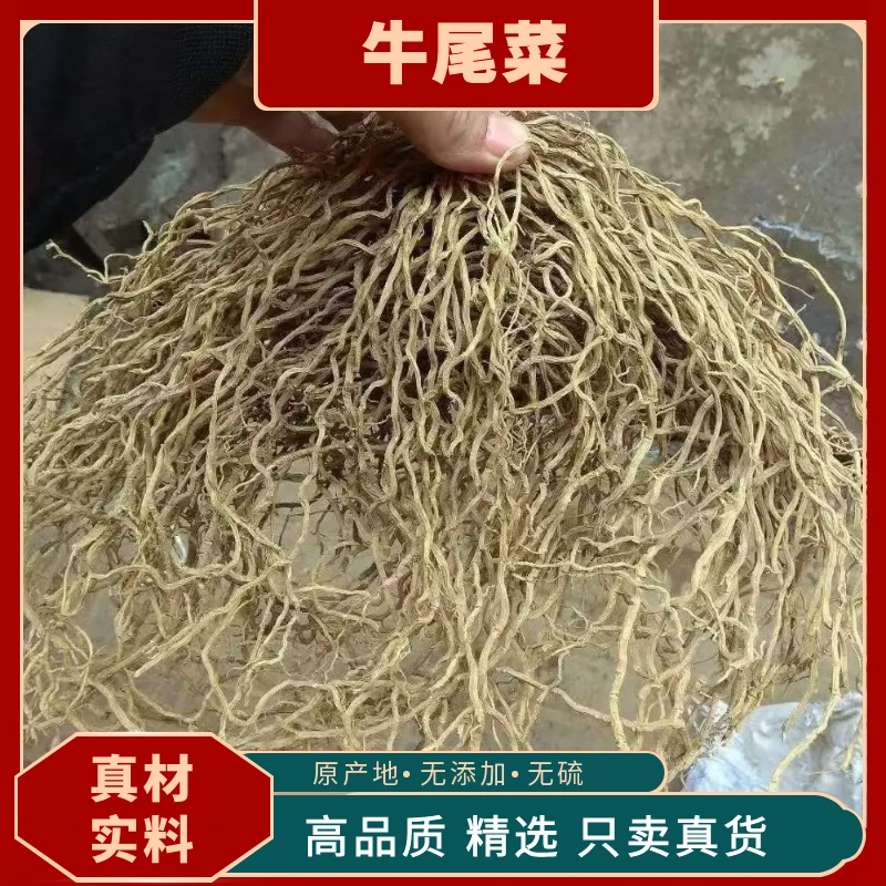 【牛尾菜】中药材要天然野生牛尾草无硫干品牛尾蕨根牛尾结金刚豆藤