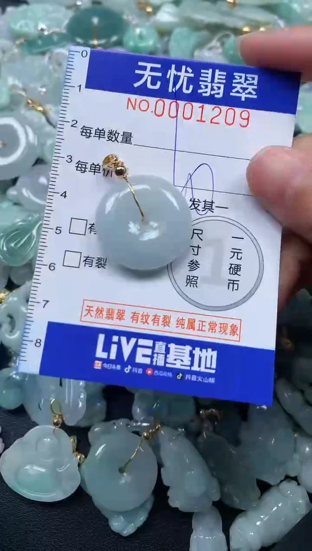 颈饰未镶嵌翡翠1209