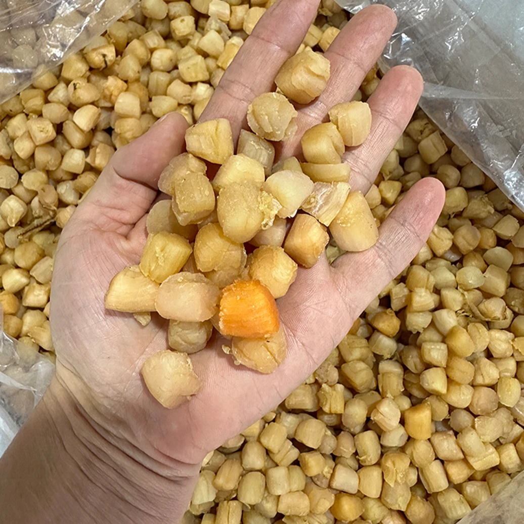 曾曾精选300头干贝瑶柱250g/500g海鲜干货元贝淡干扇贝肉海产品