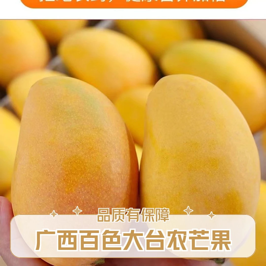 【催熟食用】广西百色大台农芒果 中果 新鲜热带水果净重5斤/9斤