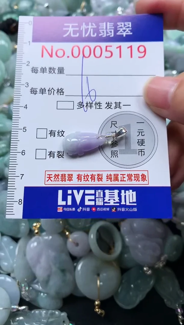 颈饰未镶嵌翡翠5119