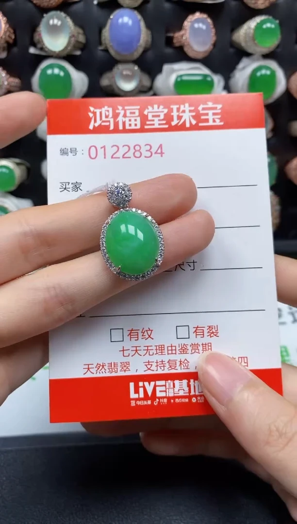 颈饰银S925镶嵌翡翠2834