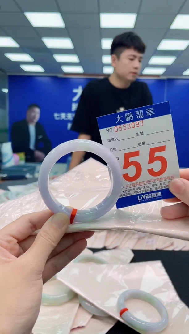 未镶嵌手镯翡翠AAAAAAAAA