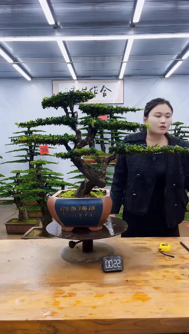 无花朵一物一拍，所见即所得