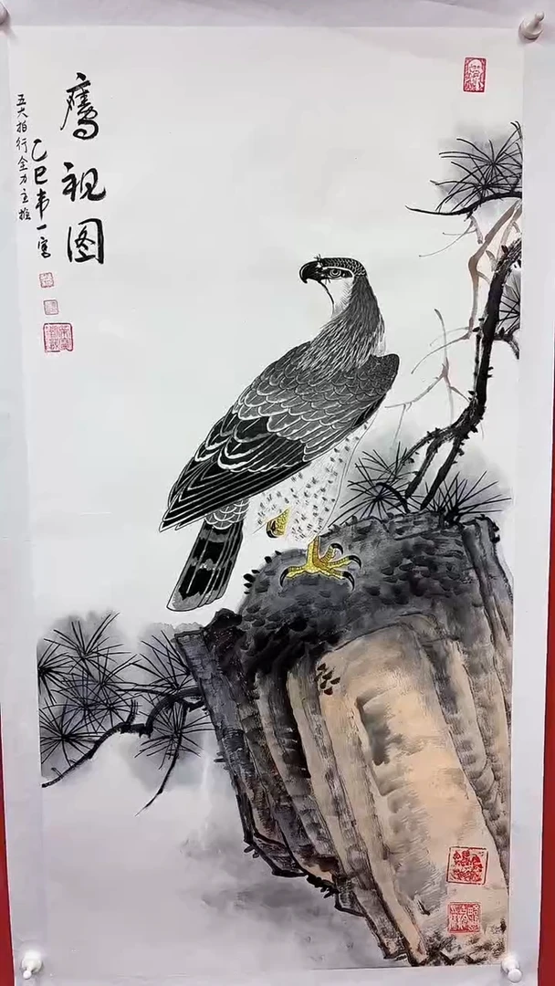 国画鹰视图