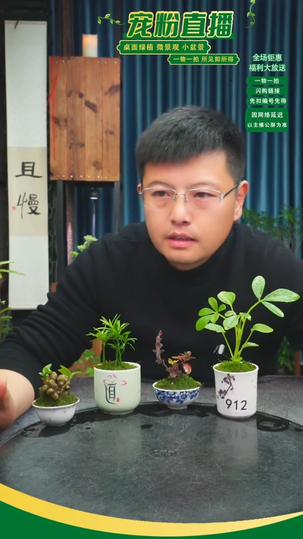 无花朵天**大苔藓微景观912号