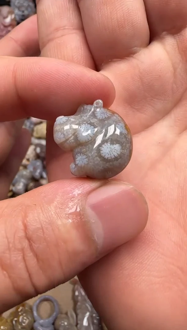 【闪购商品】硅化珊瑚（珊瑚玉）颈饰未镶嵌800