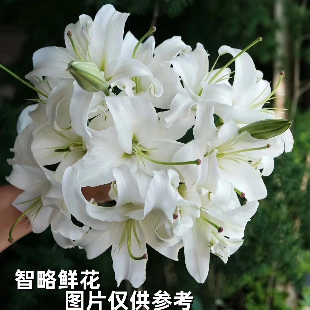 智略鲜花季卡来袭！1 张卡 hold 住 3 个月仪式感，鲜花开箱不重样