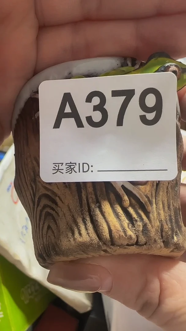 瓷片和****]精美瓷片啦啦啦啦