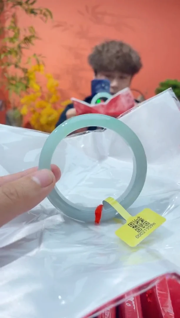 未镶嵌手镯翡翠4