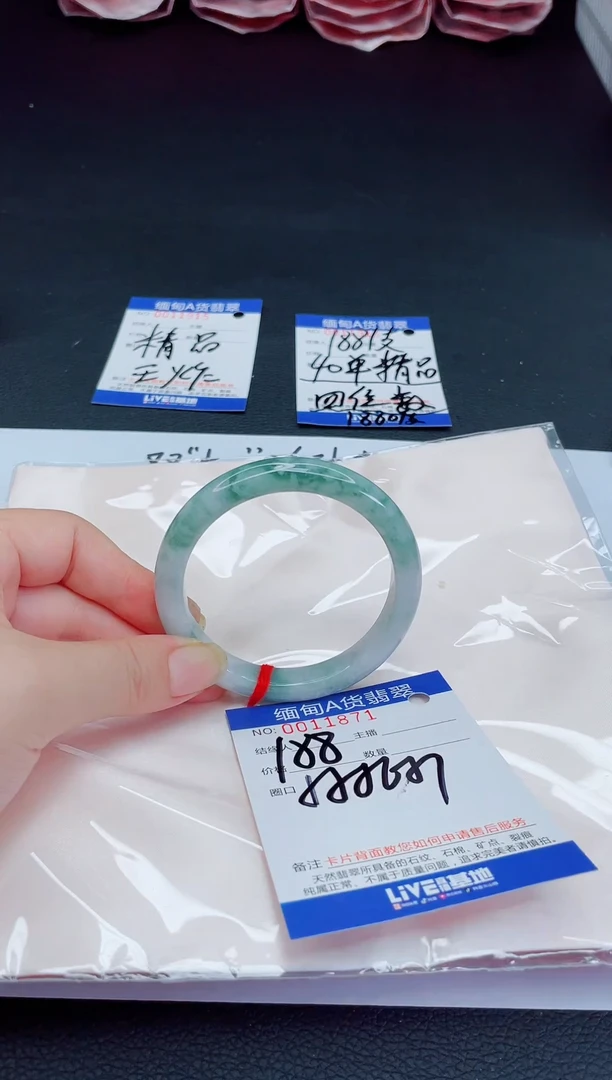未镶嵌手镯翡翠1111111