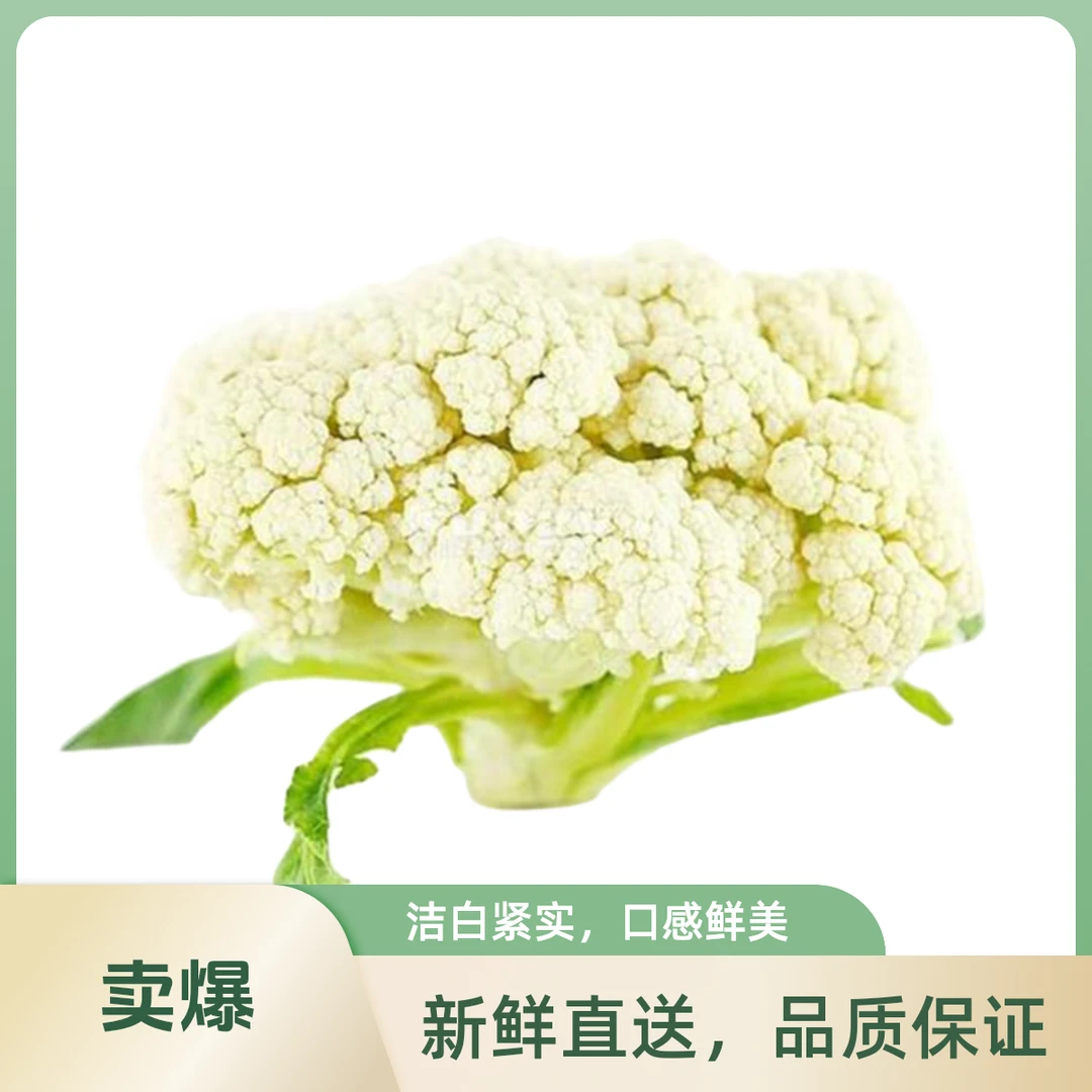 青梗花菜1.5kg