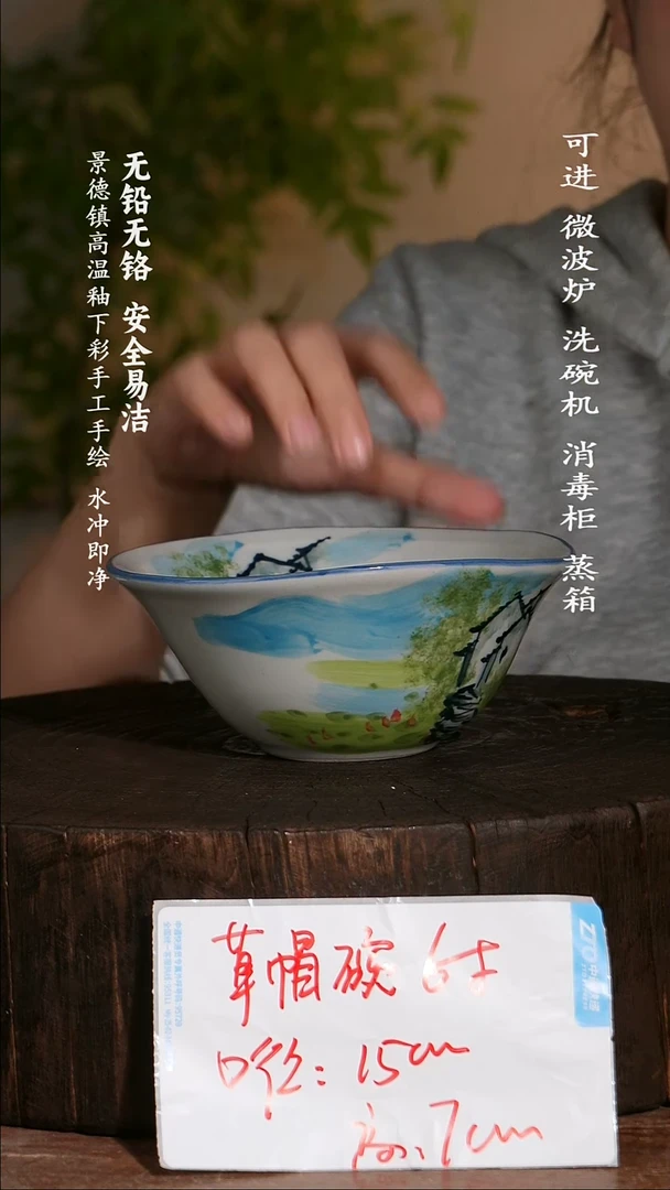 碗陶瓷景德镇高温瓷釉下彩手绘陶瓷