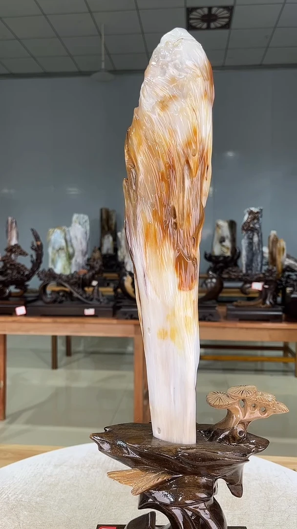 未镶嵌珠宝奇石硅化玉880