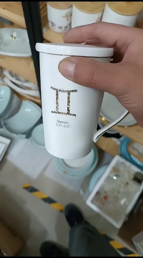 瓷带盖大马克杯二个