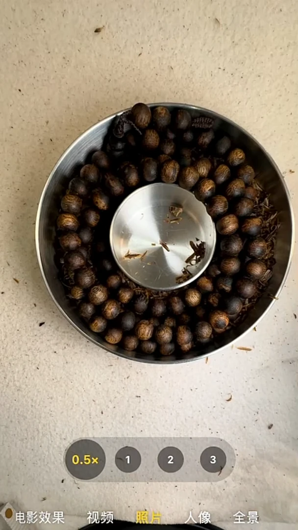 沉香手串8mm奇楠沉水浮多圈手串12