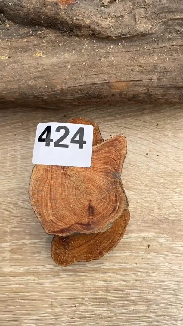 柏木（崖柏）太行崖柏香片