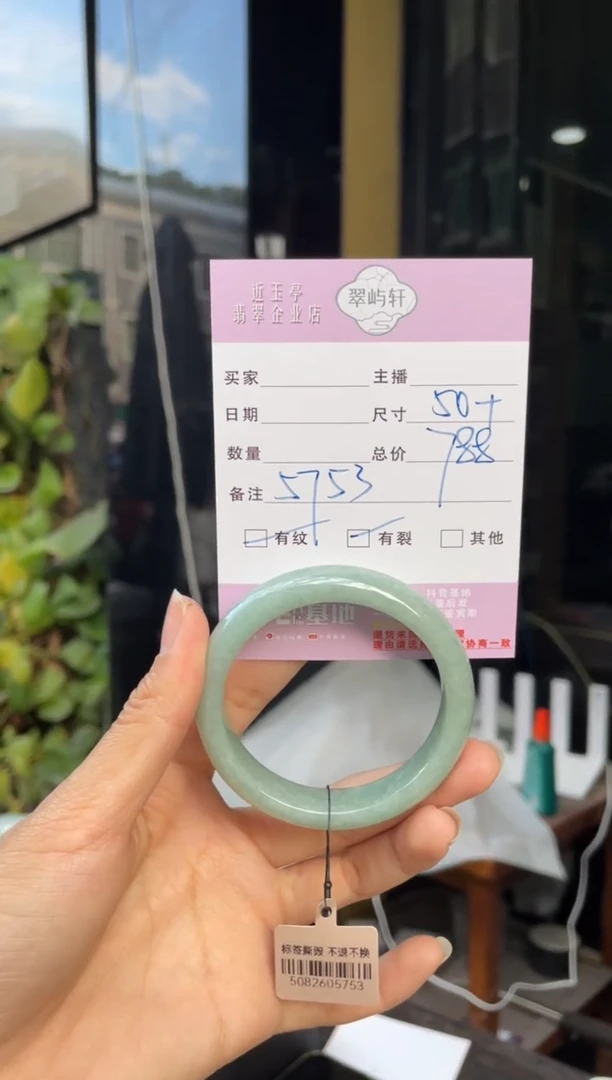 未镶嵌手镯翡翠G 50-51正圈 5753